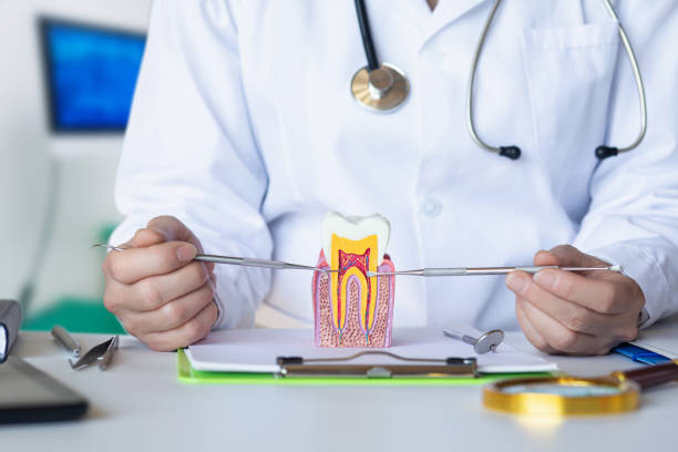 Best Cosmetic Emergency Dentistry in Calhoun City, MS